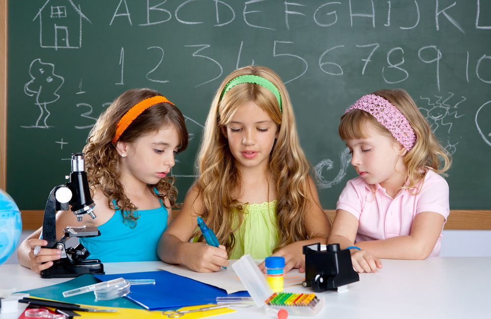 Grade 6 – English (IB)