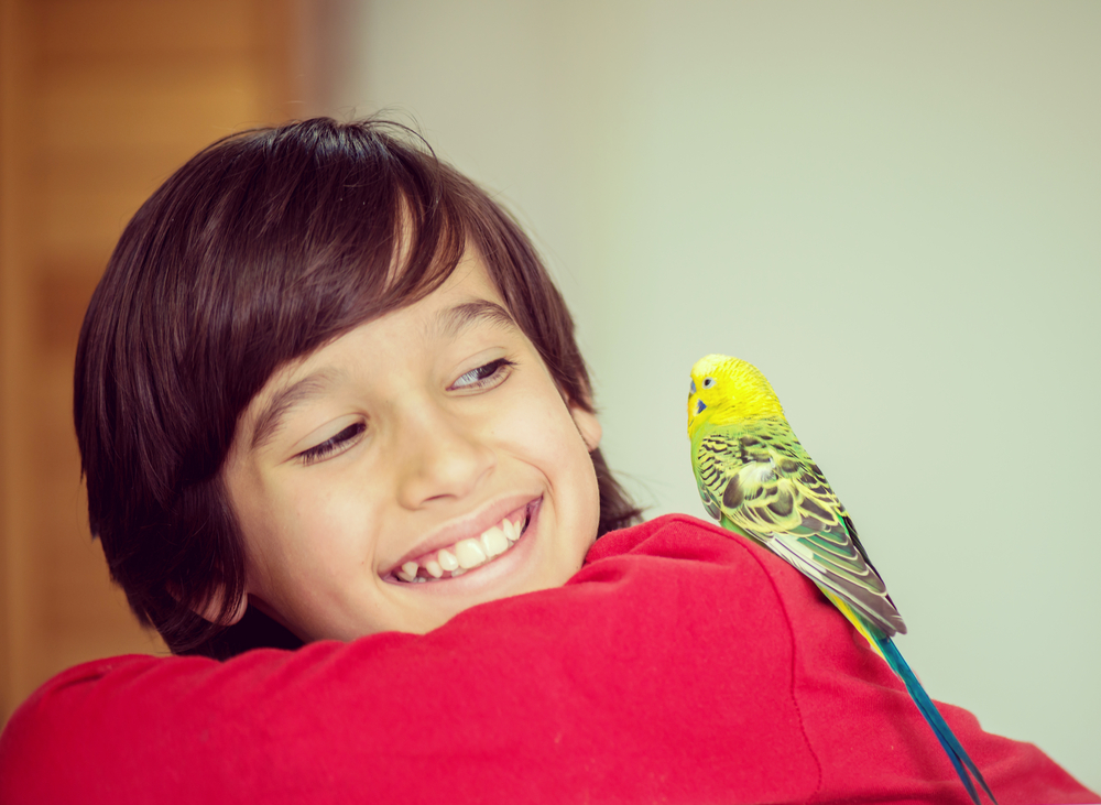 Kid,Playing,With,His,Pet,Parrot